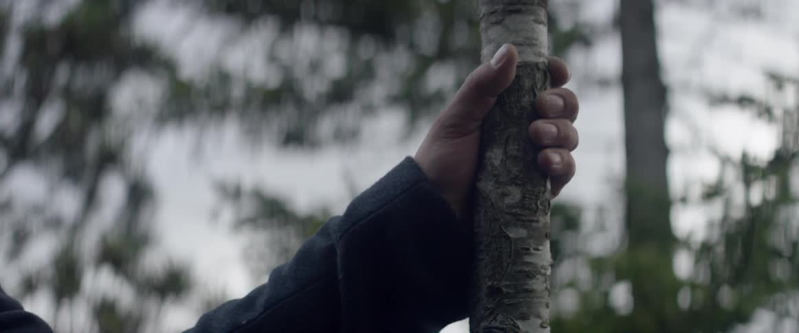 A man grips the trunk of a small tree