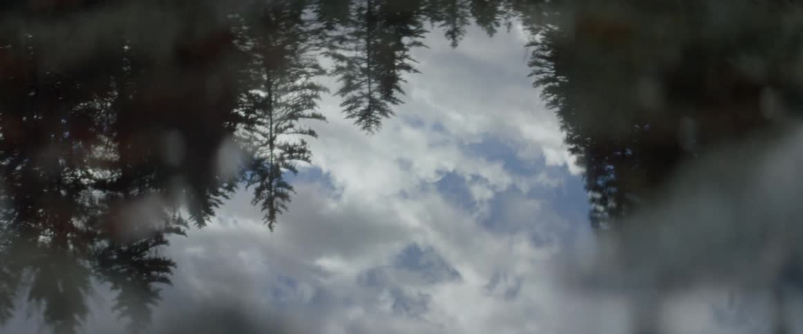 Trees and clouds are reflected in the water