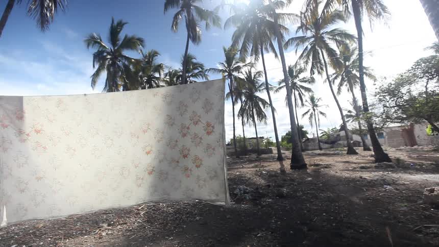 Sheets hanging from a line tied to palm trees