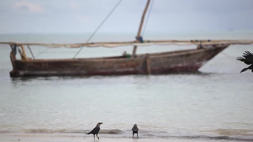 A boat floats on the ocean while birds fly around in the foreground