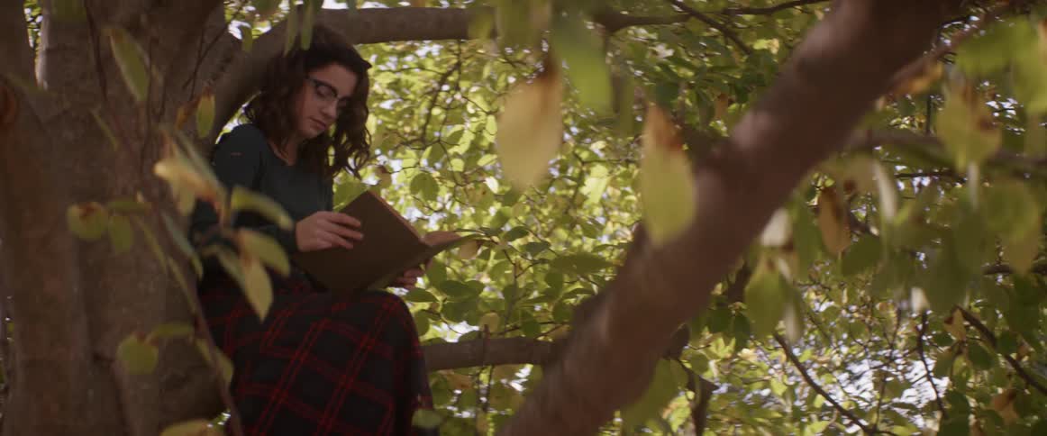 A young girl reads a book in a tree