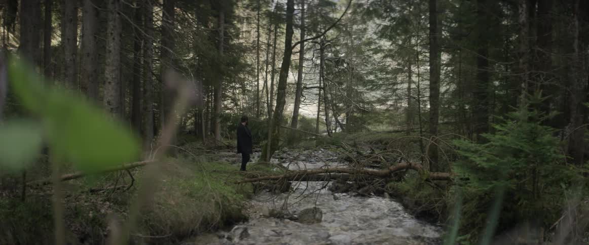 A man is walking up to a stream in a forest during the day