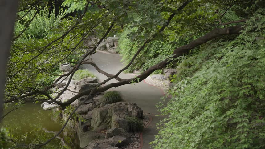 Trees reflect in a pond along a path in a park-like setting during the day