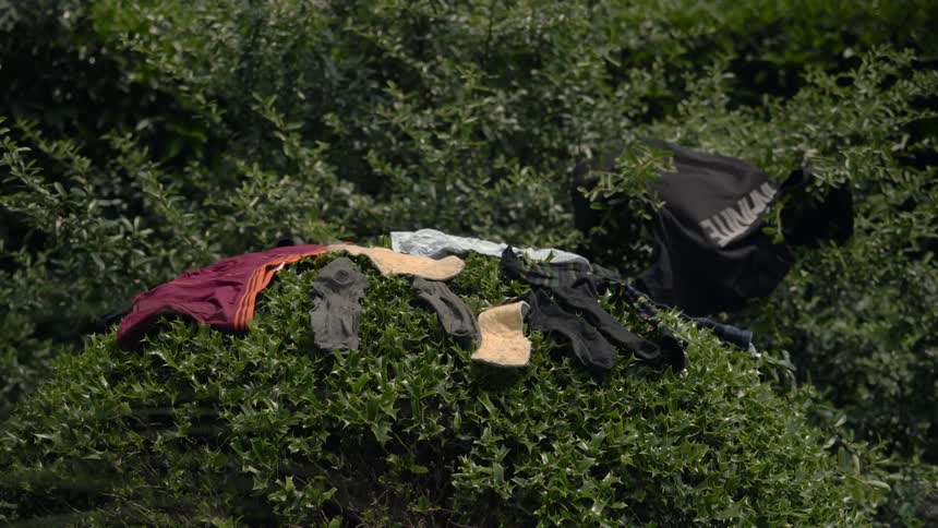 Clothes are thrown on shrubs