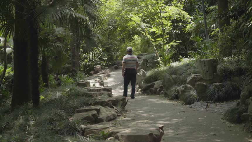 A man hikes down the trail in the wilderness