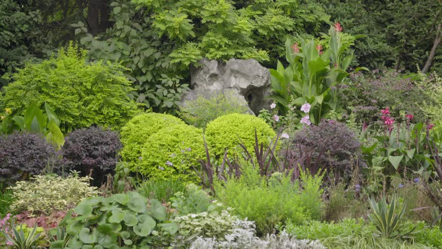 Multi-colored plants cover the grounds in nature