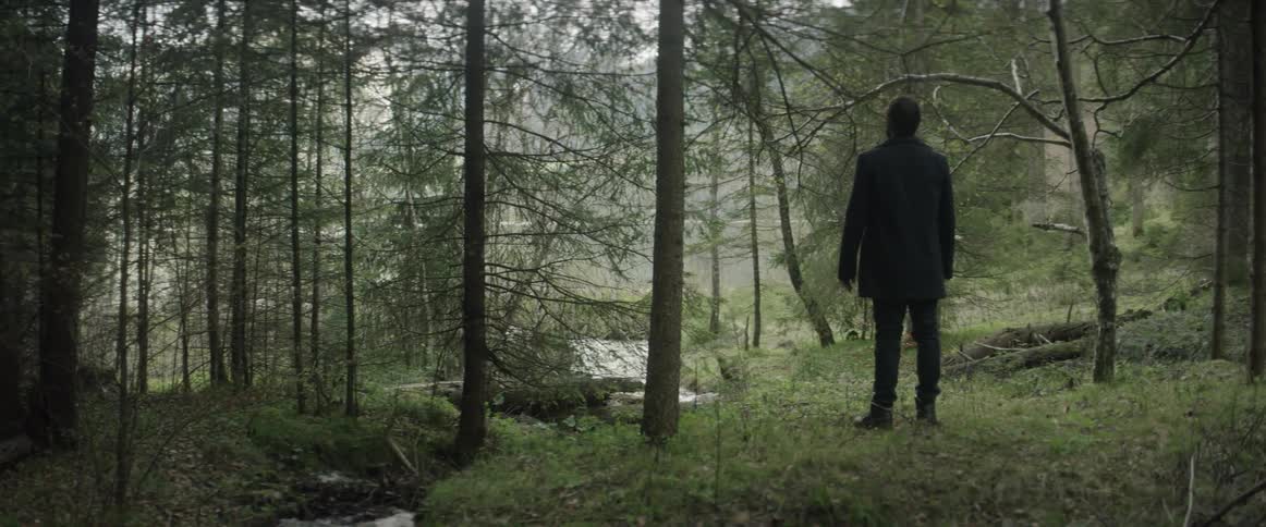 Man stands in the woods looking out