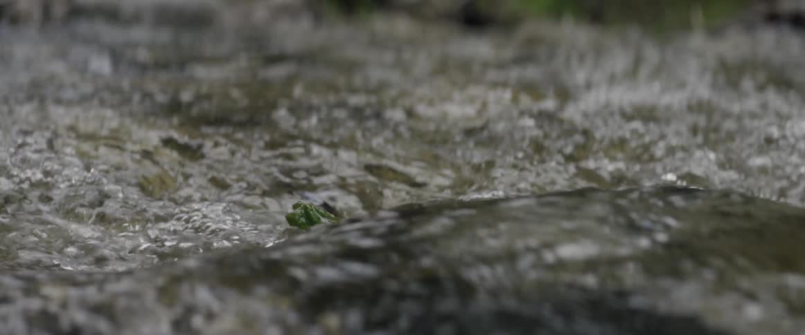 Water flows rapidly down a stream