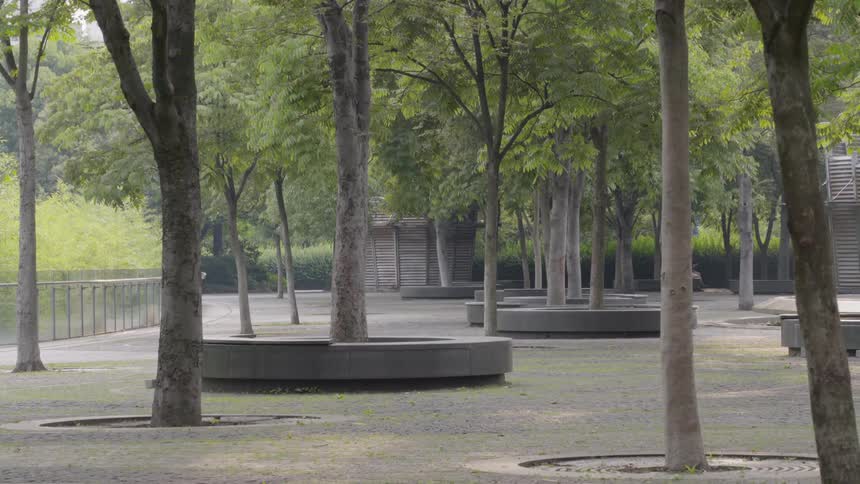 Trees cover the courtyard