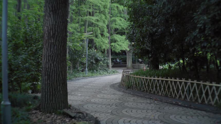 Concrete path winding through the woods