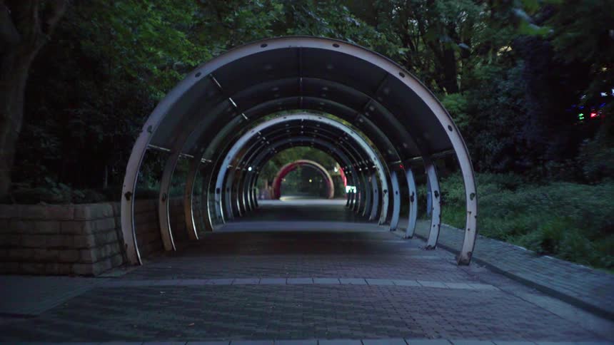 A domed walkway in the middle of a park