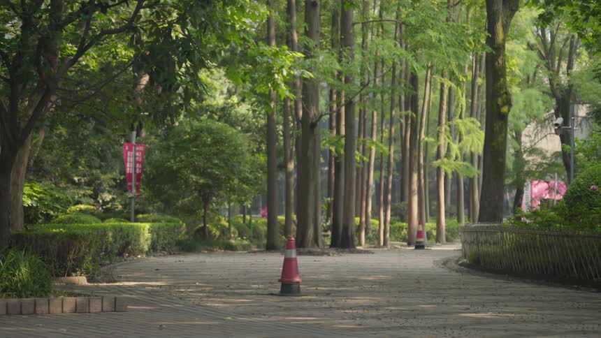 Man pushing stroller through the park