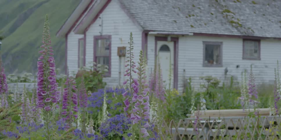 Colorful flowers in front of an old weathered house