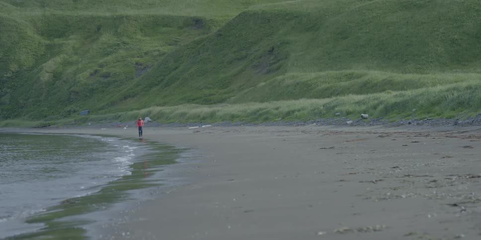 A person walks on the shore