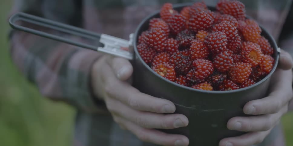 Man holding a pot of red berries