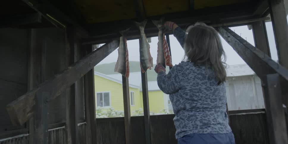 A woman hangs salmon fillets over a piece of wood