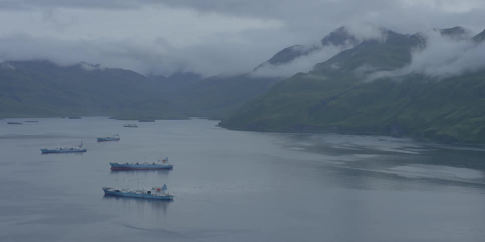 Ships are floating anchored in a bay in a natural setting on a cloudy day