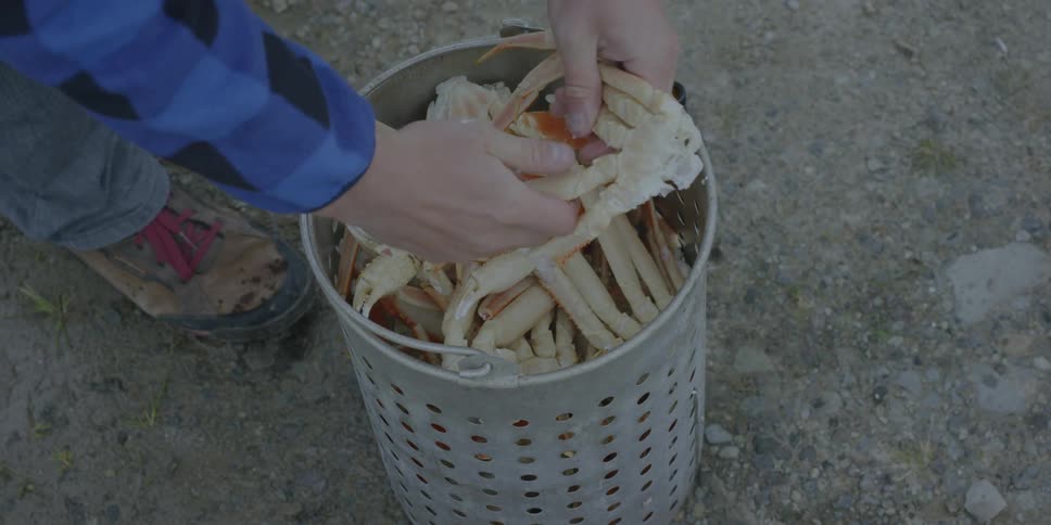 A man is grabbing part of a crab from a bucket and breaking off a leg