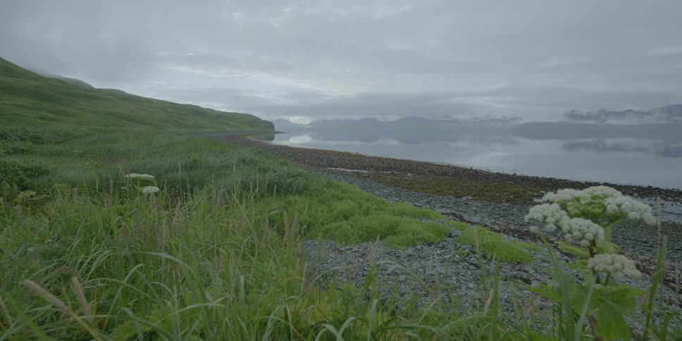 Grass sits motionless next to the rocky shore