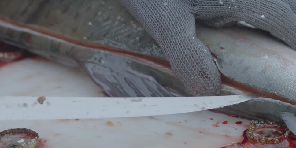 A knife cuts through a salmon
