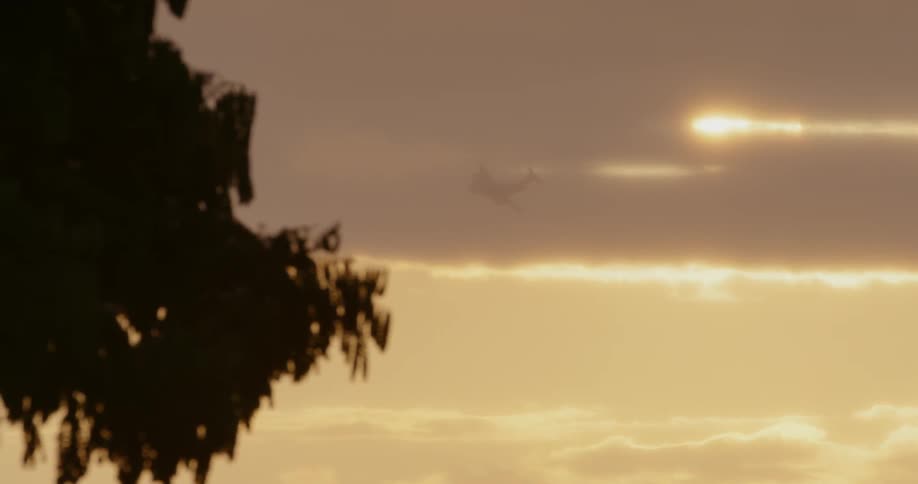 A plane flies in the sky