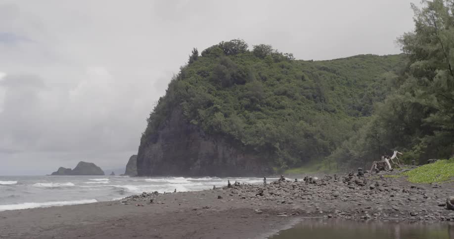 Waves roll onto a shore near the forest