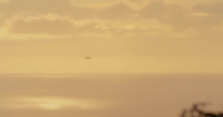 A plane flies in the sky above the water