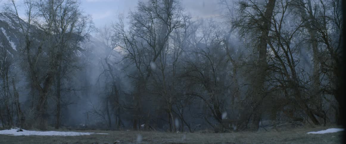Snow falls in the woods by the mountain
