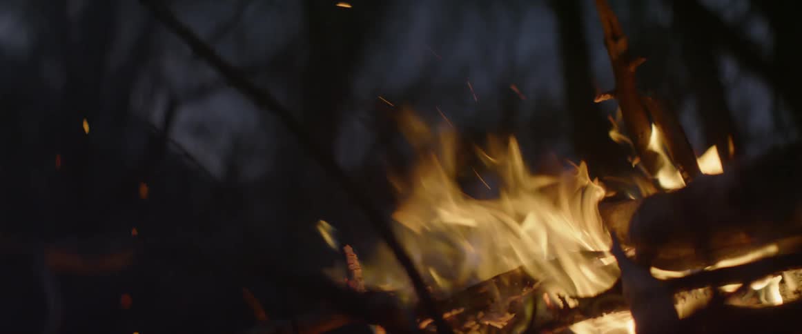 Sparks and embers from a campfire blow away from the flames