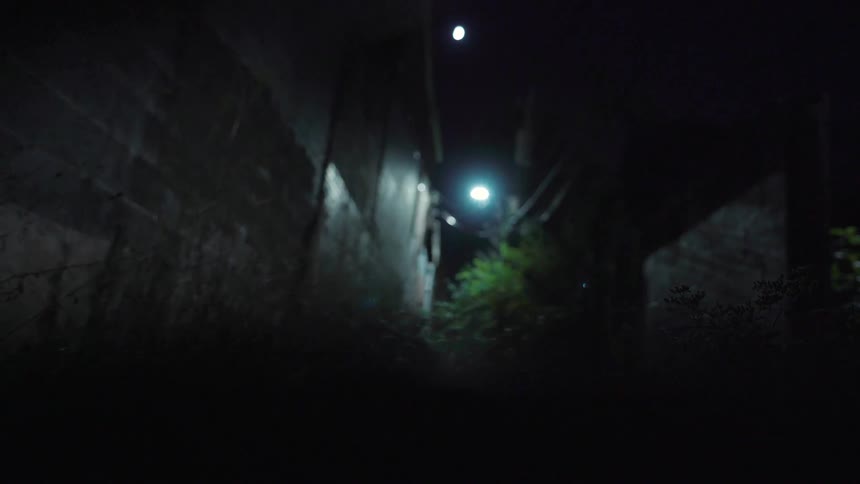 An overgrown alleyway at night