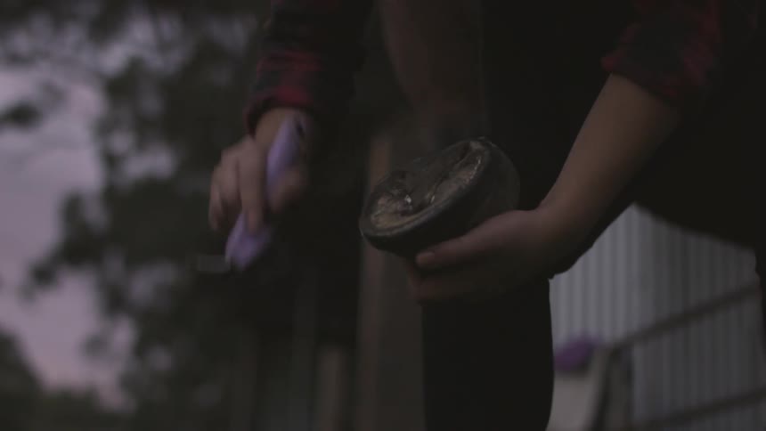 A person cleaning horse's hooves
