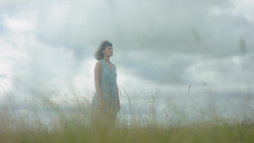 A woman in a blue dress stands in a field