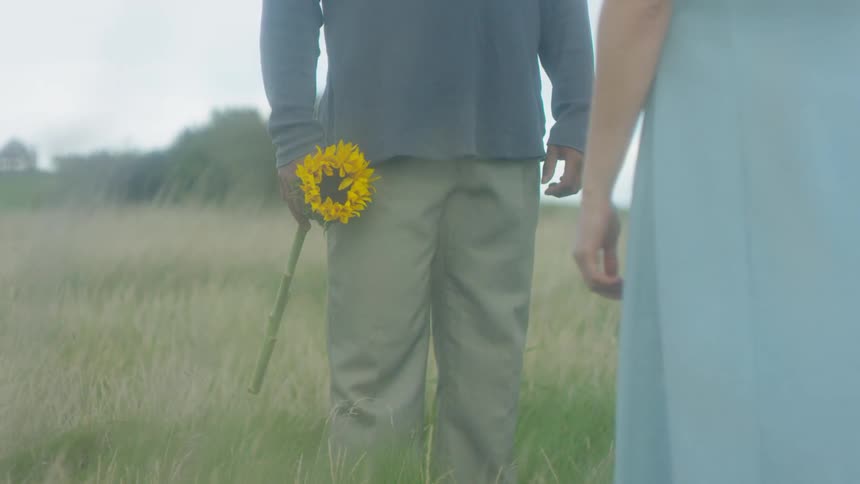 A man holding a large sunflower drops it in the grass