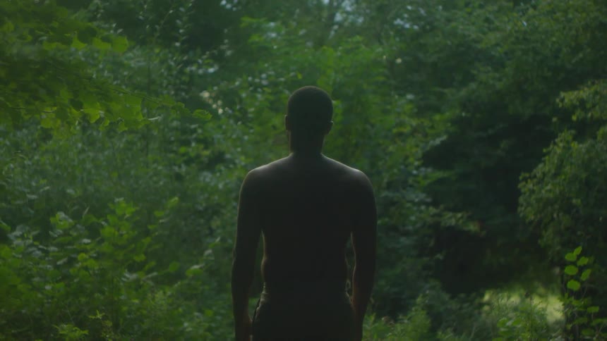 A man is standing and staring at a forest of trees during the day
