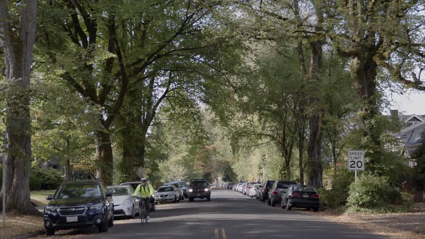 A bicyclist rides on a town street