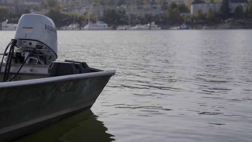 A boat is docked in the lake