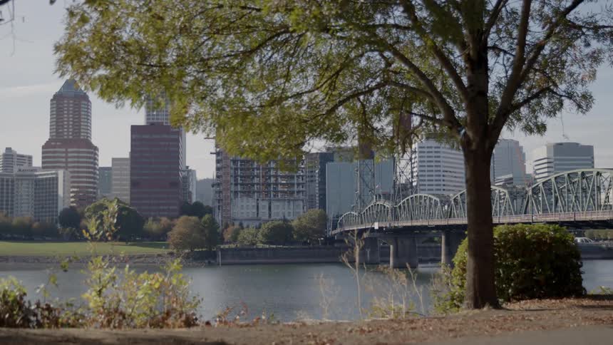 A view of some city buildings and a bridge over water