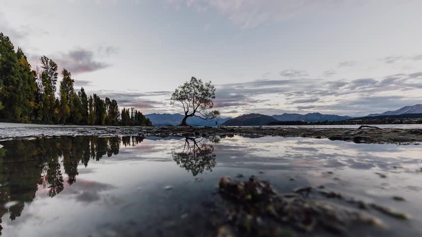 Trees and sky are reflected on the lake surface