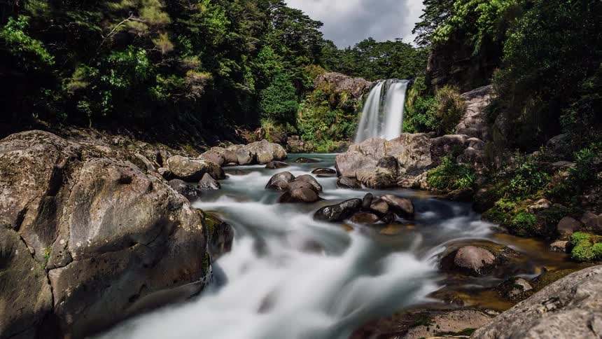 A waterfall is cascading over a ledge into a tropical stream during the day