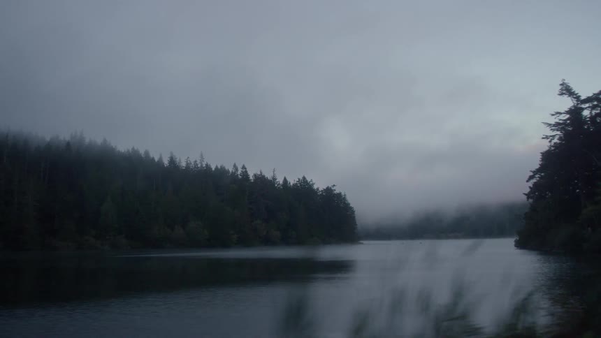 The forest by the water is covered with fog