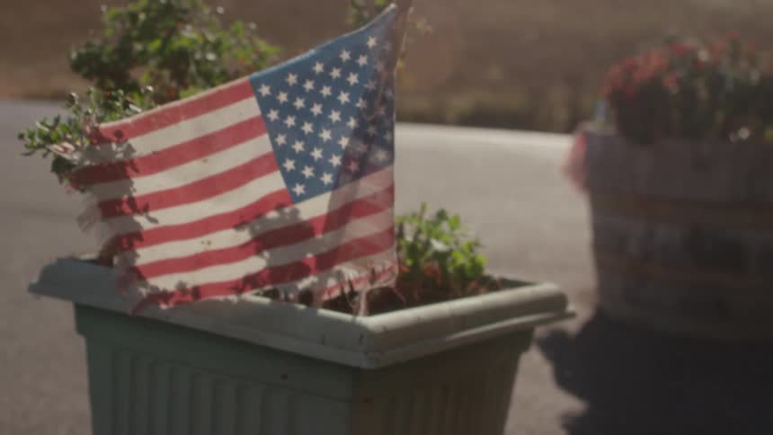 A small american flag sits in a potted plant