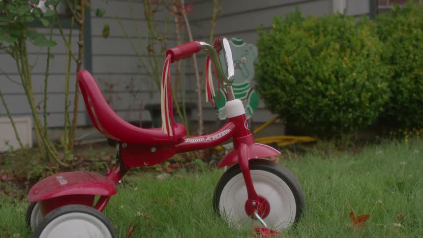 A red tricycle is sitting in the yard
