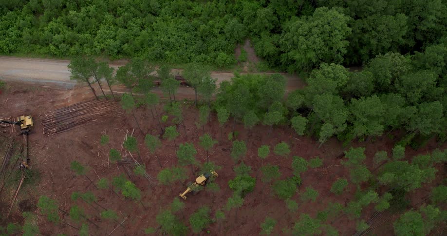 A logging truck leaving the forest