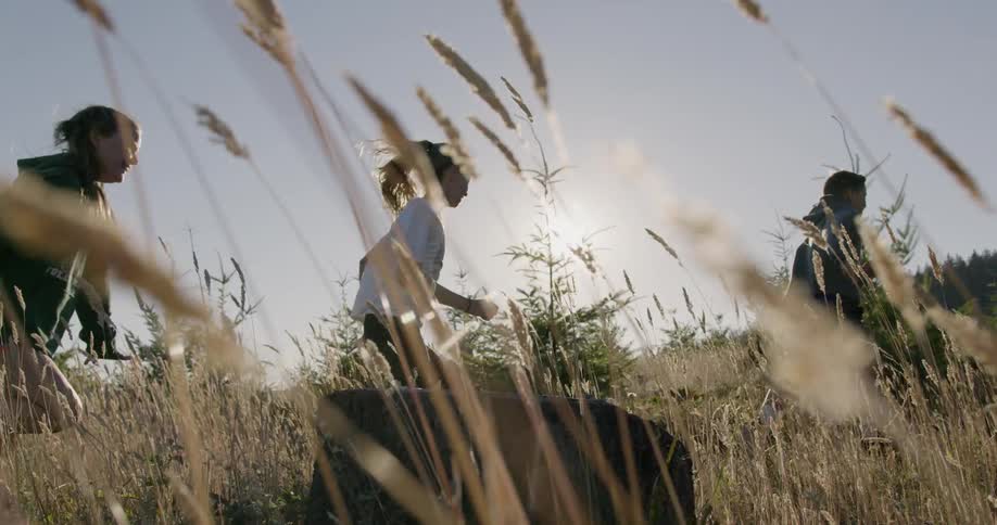 A group of kids run through a field on a sunny day