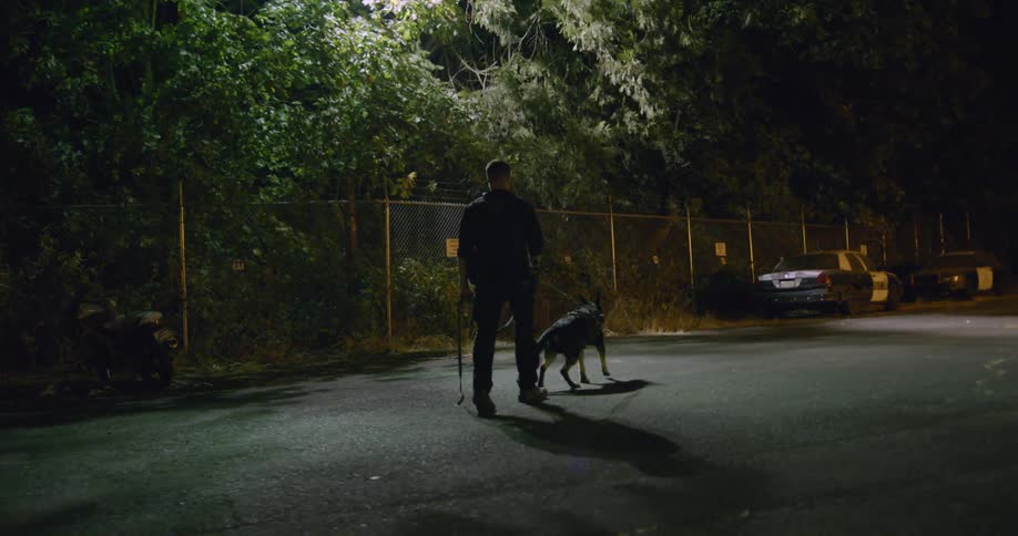 A police officer and his k9 walk through a parking lot at night