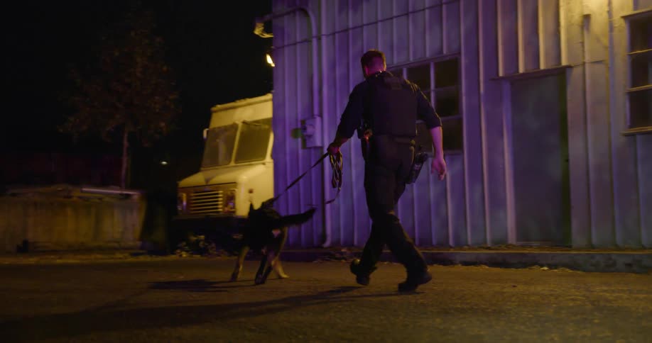 A cop is leading a dog on a search outside a warehouse at night