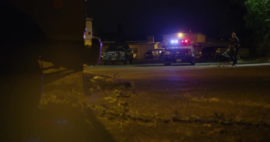 Police in a parking lot
