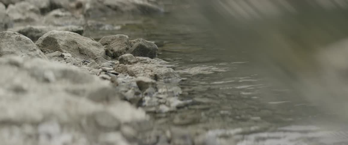 Water ripples around the rocks on a river bank