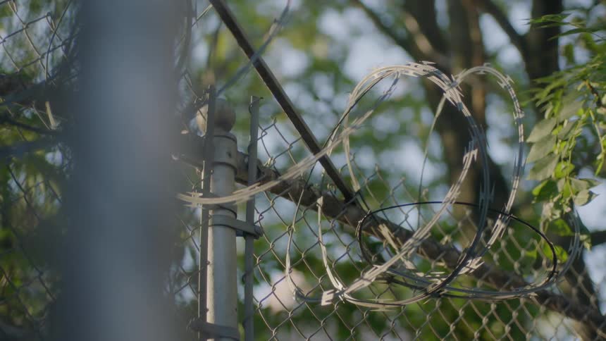 Razor wire is hanging on top of a fence during the day