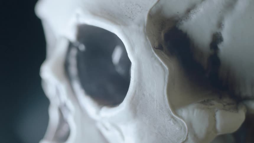 A human skull rotates in the dark